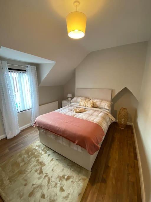 The Cozy Homestay Belfast Esterno foto