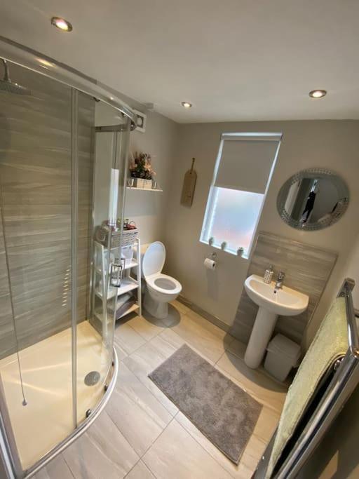 The Cozy Homestay Belfast Esterno foto