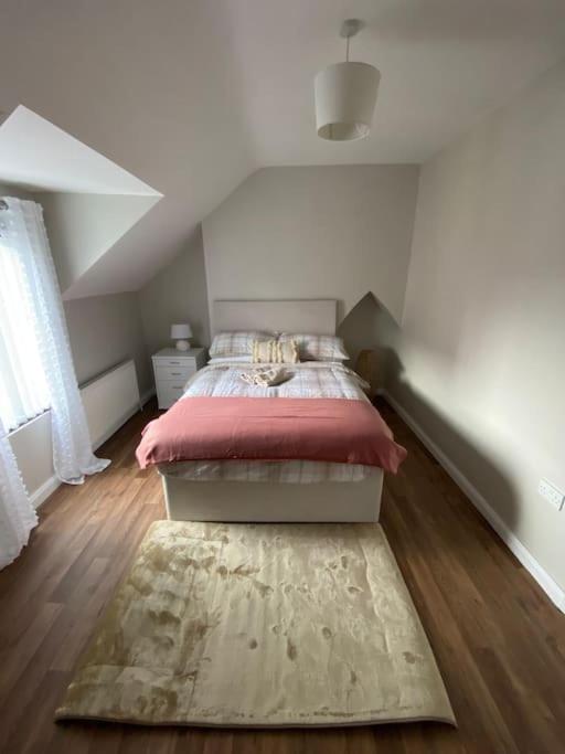 The Cozy Homestay Belfast Esterno foto