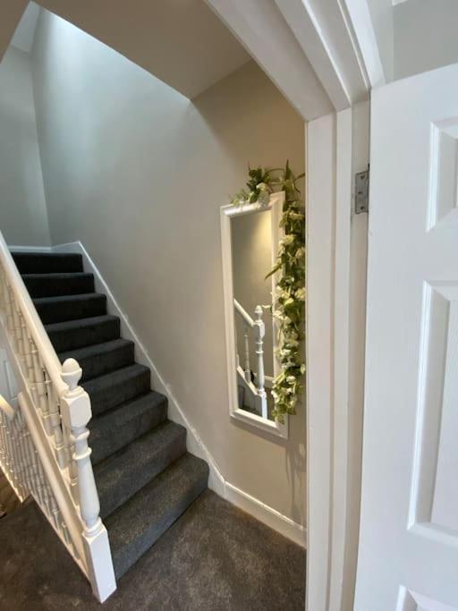 The Cozy Homestay Belfast Esterno foto